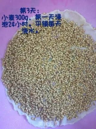 麦芽糖