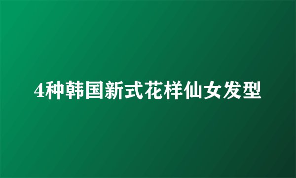 4种韩国新式花样仙女发型