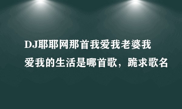 DJ耶耶网那首我爱我老婆我爱我的生活是哪首歌,跪求歌名