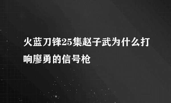 火蓝刀锋25集赵子武为什么打响廖勇的信号枪