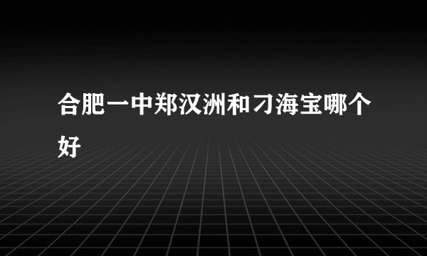 合肥一中郑汉洲和刁海宝哪个好