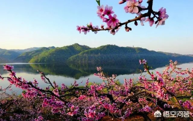 蒋大为唱的那首《在那桃花盛开的地方》,到底是哪个地方?