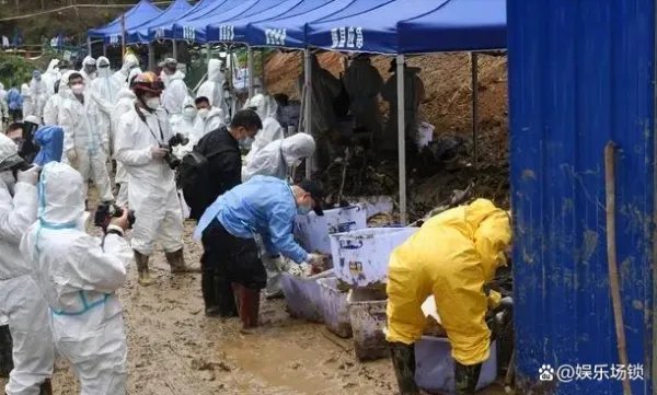 东航MU5735飞行事故,目前能确定什么?