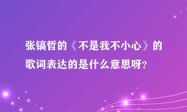 张镐哲的《不是我不小心》的歌词表达的是什么意思呀？