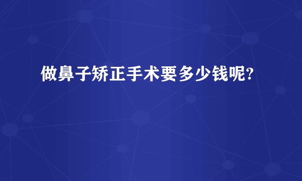 做鼻子矫正手术要多少钱呢?