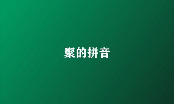 聚的拼音