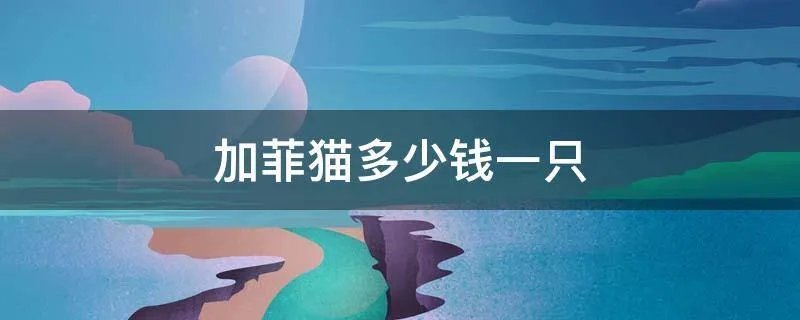 加菲猫多少钱一只