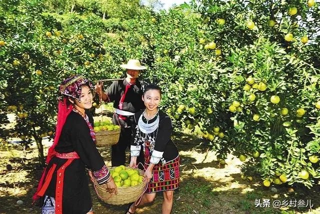 海南有哪些可以作为礼品的特产?