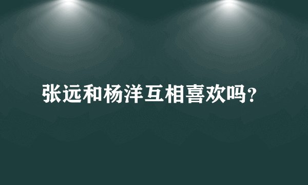 张远和杨洋互相喜欢吗？