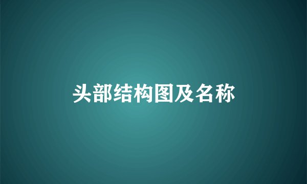 头部结构图及名称