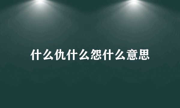 什么仇什么怨什么意思