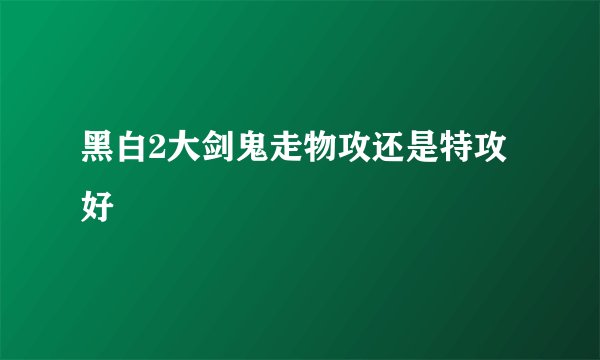 黑白2大剑鬼走物攻还是特攻好