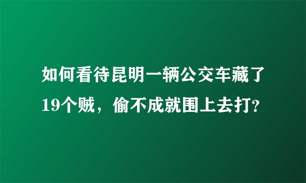 如何看待昆明一辆公交车藏了19个贼，偷不成就围上去打？