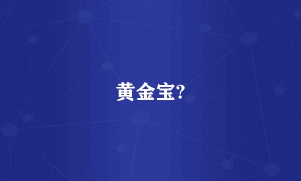 黄金宝?