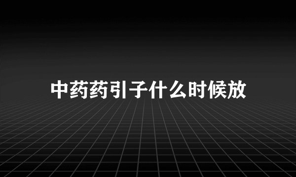 中药药引子什么时候放