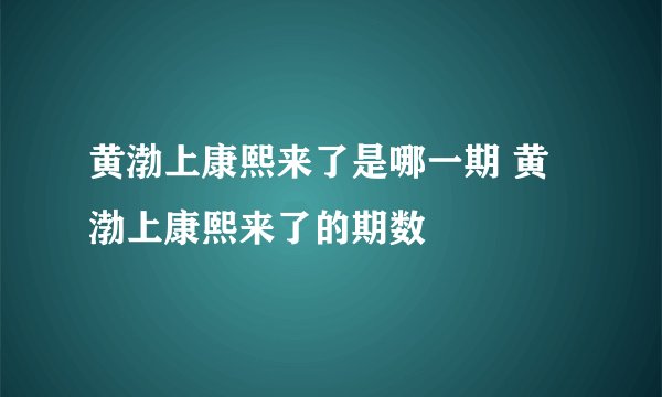 黄渤上康熙来了是哪一期 黄渤上康熙来了的期数