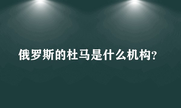 俄罗斯的杜马是什么机构？