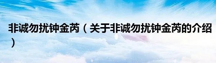 非诚勿扰钟金芮（关于非诚勿扰钟金芮的介绍）