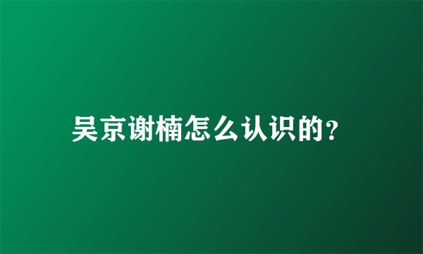 吴京谢楠怎么认识的?