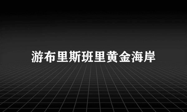 游布里斯班里黄金海岸