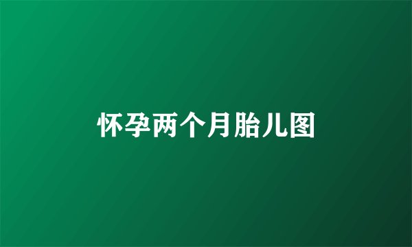 怀孕两个月胎儿图