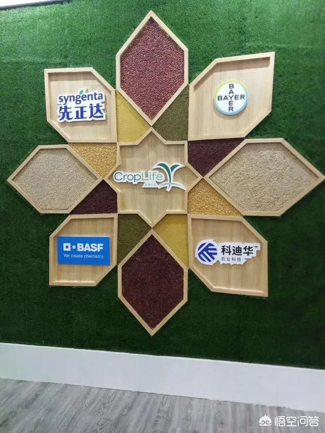 杨凌农高会有哪些新品种？