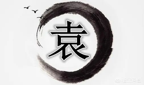 刘姓、袁姓是怎么来的?谢谢?