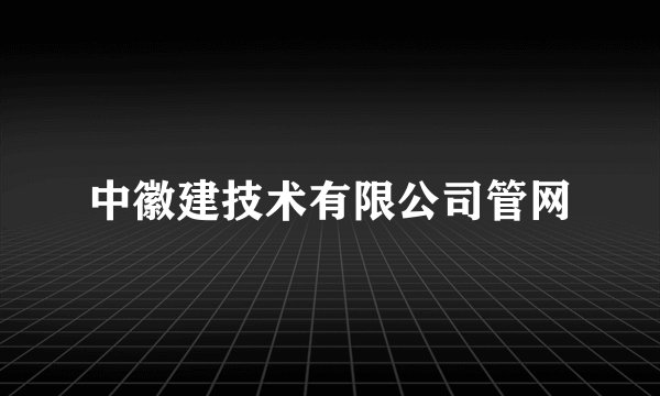 中徽建技术有限公司管网