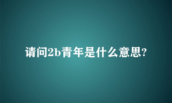 请问2b青年是什么意思?