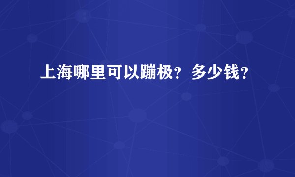 上海哪里可以蹦极？多少钱？