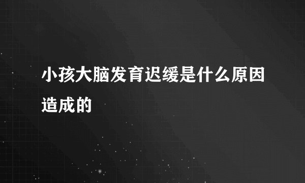 小孩大脑发育迟缓是什么原因造成的
