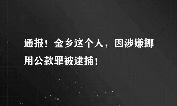 通报！金乡这个人，因涉嫌挪用公款罪被逮捕！