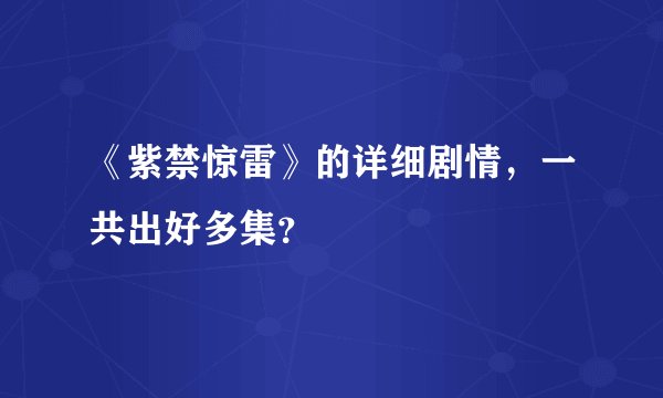 《紫禁惊雷》的详细剧情，一共出好多集？