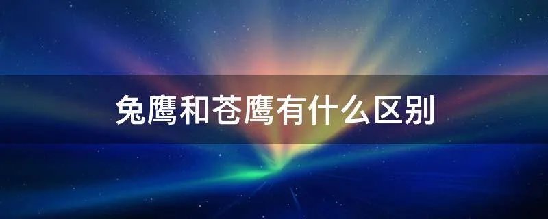兔鹰和苍鹰有什么区别