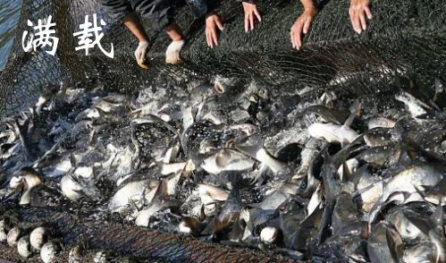满载的拼音是什么