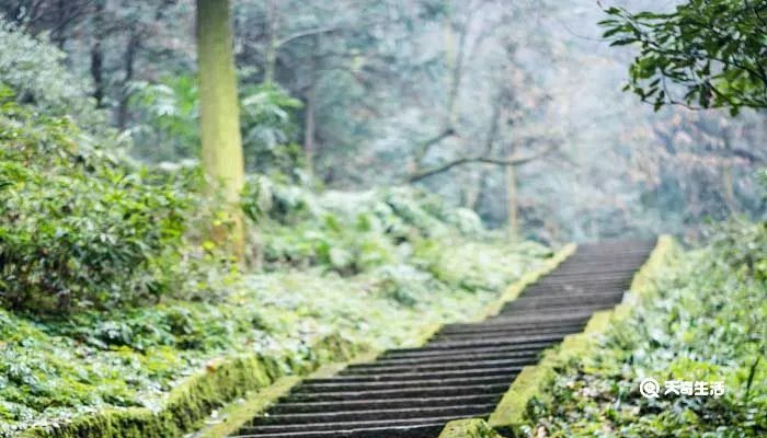 山重水复疑无路柳暗花明又一村赏析