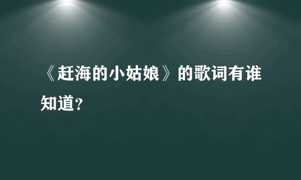 《赶海的小姑娘》的歌词有谁知道？