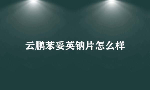 云鹏苯妥英钠片怎么样