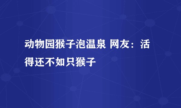 动物园猴子泡温泉 网友：活得还不如只猴子