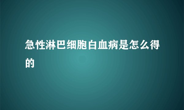 急性淋巴细胞白血病是怎么得的