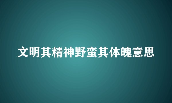 文明其精神野蛮其体魄意思