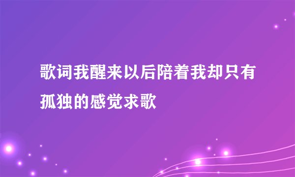 歌词我醒来以后陪着我却只有孤独的感觉求歌