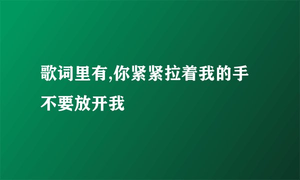 歌词里有,你紧紧拉着我的手不要放开我