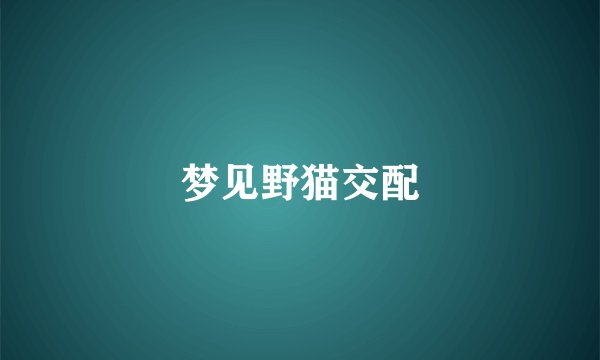 梦见野猫交配