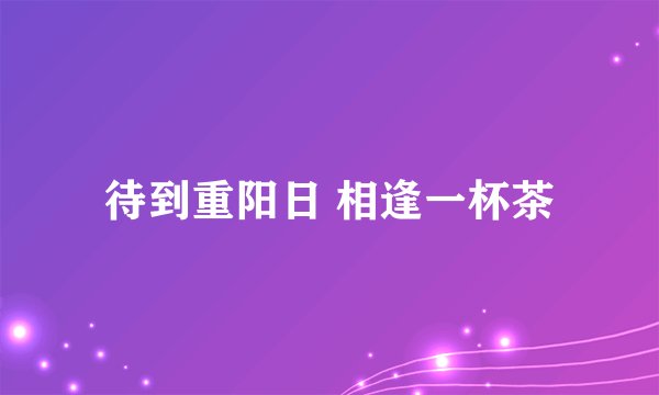 待到重阳日 相逢一杯茶