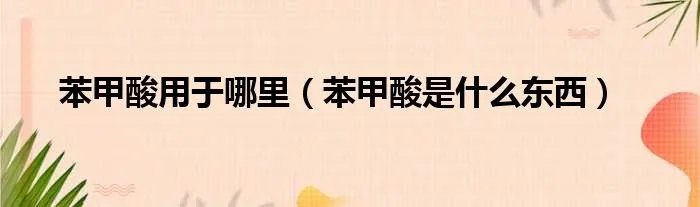 苯甲酸用于哪里（苯甲酸是什么东西）