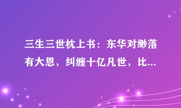 三生三世枕上书：东华对缈落有大恩，纠缠十亿凡世，比凤九还痴怨