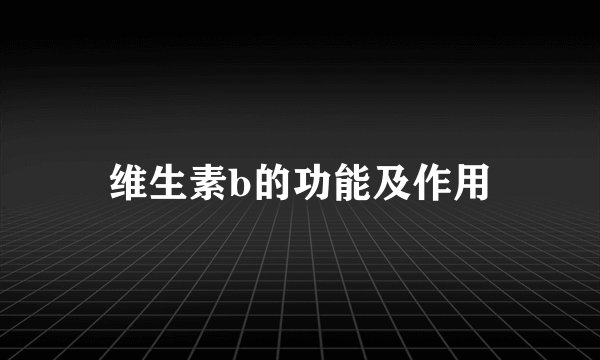 维生素b的功能及作用