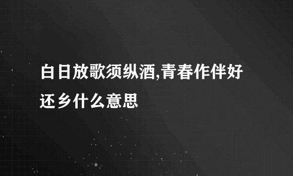 白日放歌须纵酒,青春作伴好还乡什么意思