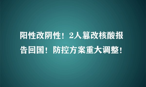 阳性改阴性!2人篡改核酸报告回国!防控方案重大调整!